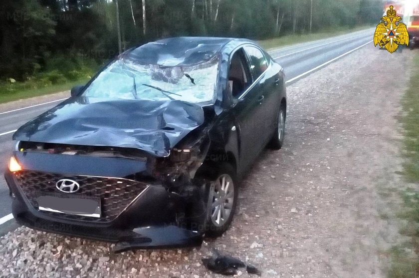 dtp-v-medynskom-rayone-171-km-avtodorogi-a-130_1626926427915400505__2000x2000__watermark.jpg dtp-v-medynskom-rayone-171-km-avtodorogi-a-130_1626926427915400505__2000x2000__watermark.jpg