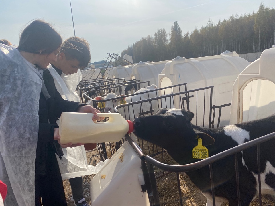 image-27-10-21-10-54 (1).jpeg