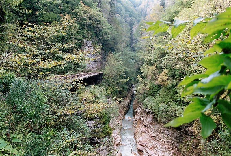 Мост возле реки Курджипса.jpg Мост возле реки Курджипса.jpg