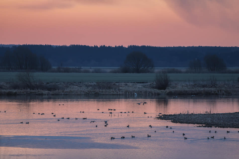 91786042_875697282843309_4855600213349367808_n.jpg 91786042_875697282843309_4855600213349367808_n.jpg