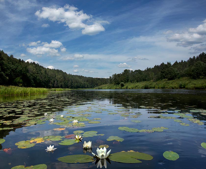 02. река Угра, Борис Борт.jpg