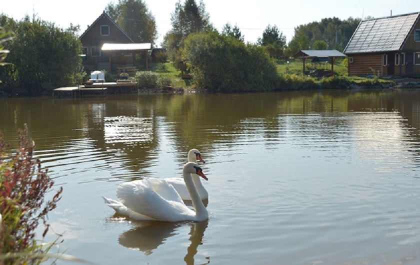 DSC_3710 - копия.JPG