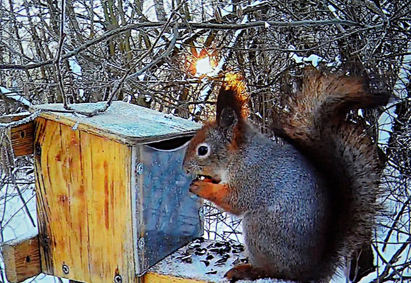 фото_4.jpg фото_4.jpg