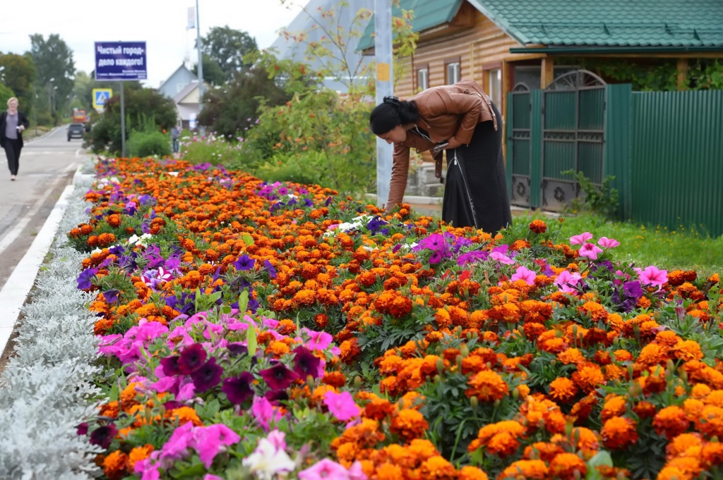 DSC_0907.jpg DSC_0907.jpg