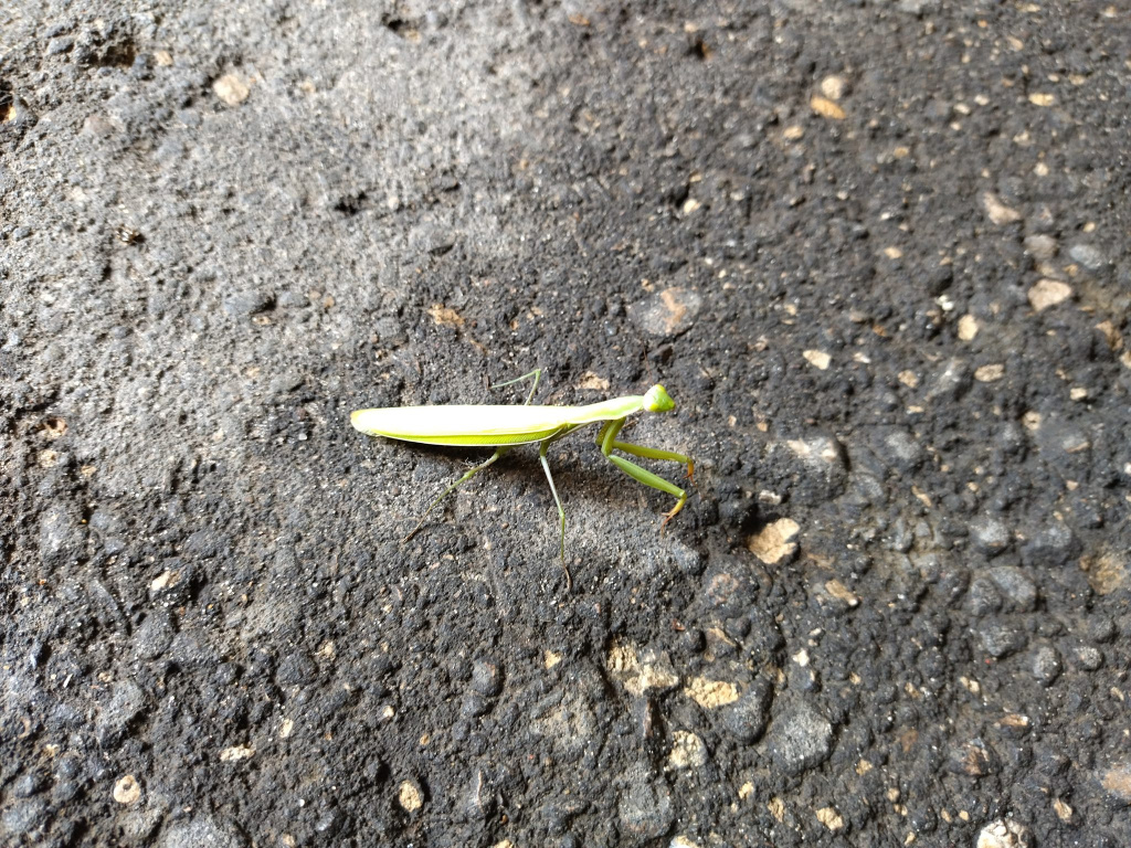 235361394_6573821069355111_7926650661251512088_n.jpg 235361394_6573821069355111_7926650661251512088_n.jpg