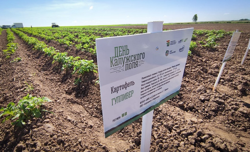 WhatsApp Image 2022-06-24 at 10.18.26.jpeg