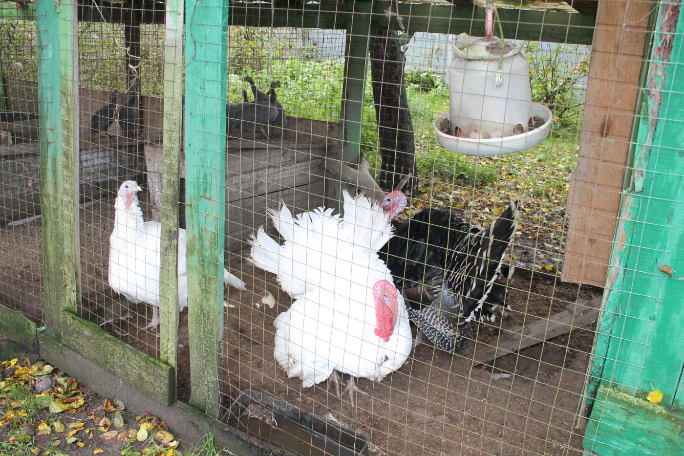 Подворье Саноян 7.jpg