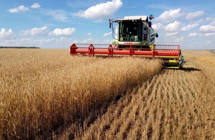 Уборка озимых в ООО Агрофирма Мещовская.jpg Уборка озимых в ООО Агрофирма Мещовская.jpg