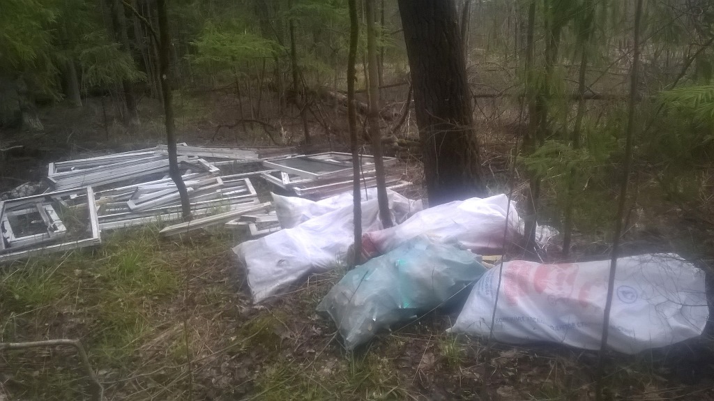 WP_20210501_07_58_50_Pro.jpg WP_20210501_07_58_50_Pro.jpg