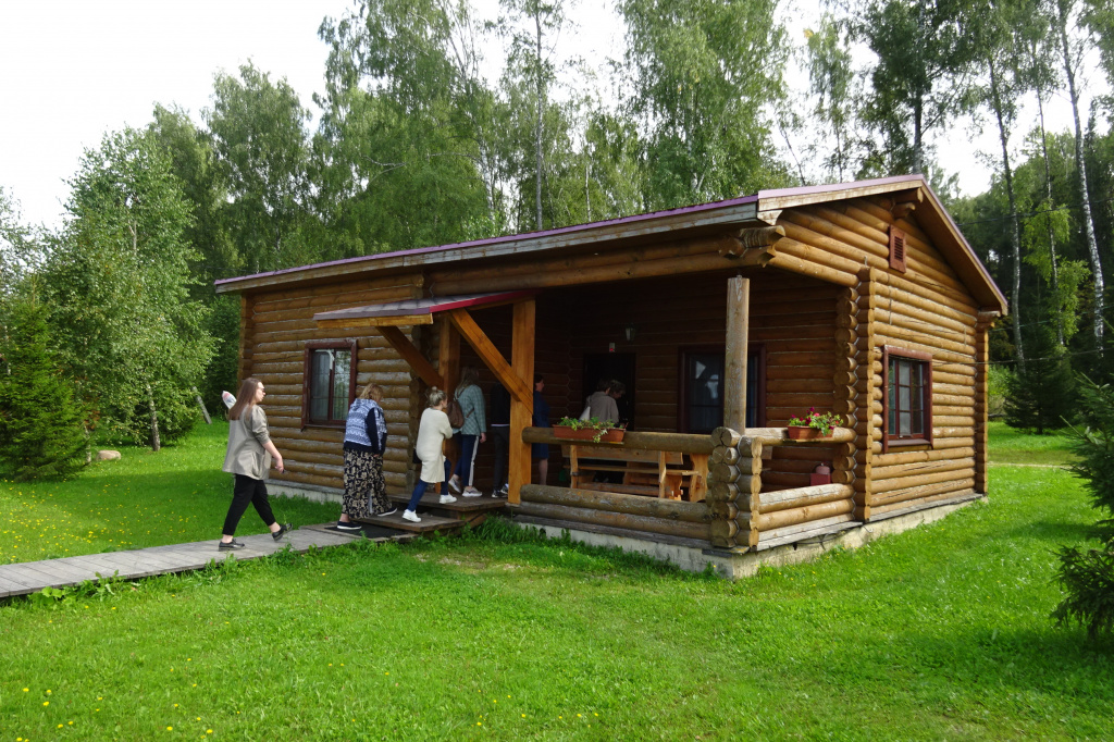 Белая цапля.JPG