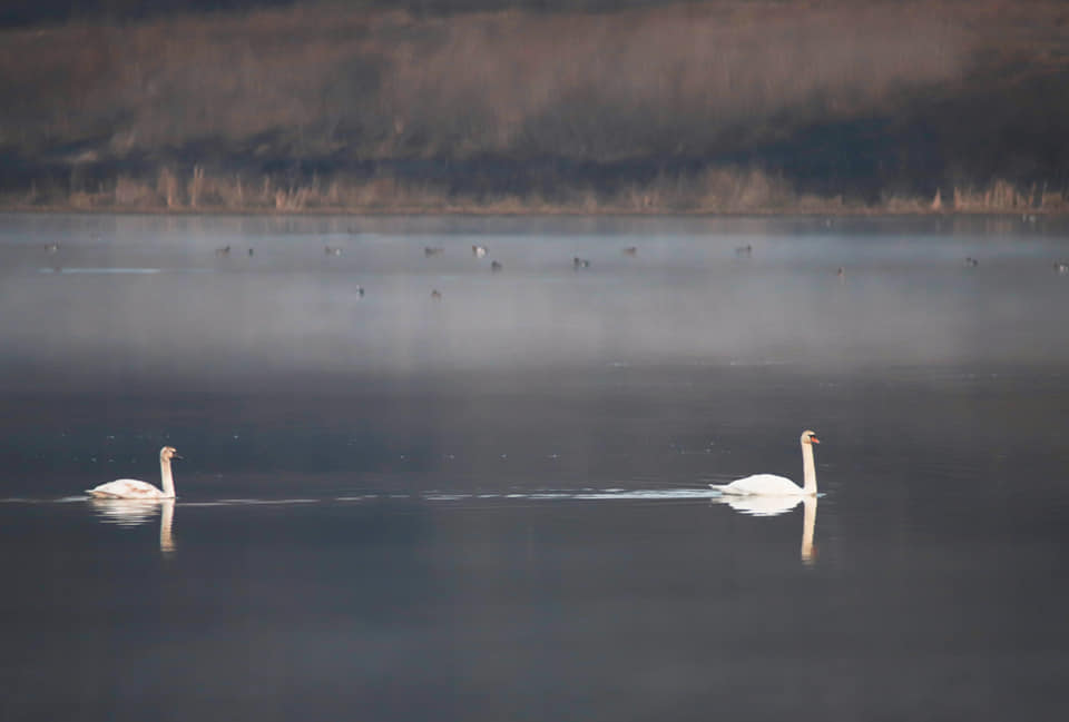 91904498_875697199509984_1994339644099002368_n.jpg 91904498_875697199509984_1994339644099002368_n.jpg