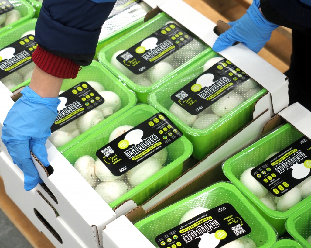 Продукция ООО Мастер Гриб.JPG