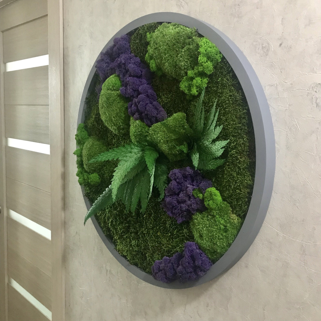 IMG_2341+.jpeg IMG_2341+.jpeg