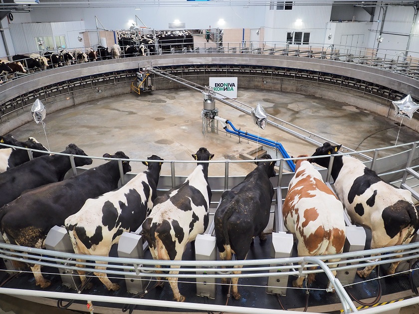 Ферма ООО Калужская нива.jpg