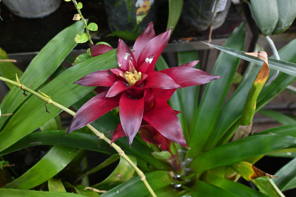 DSC_0106_новый размер.JPG