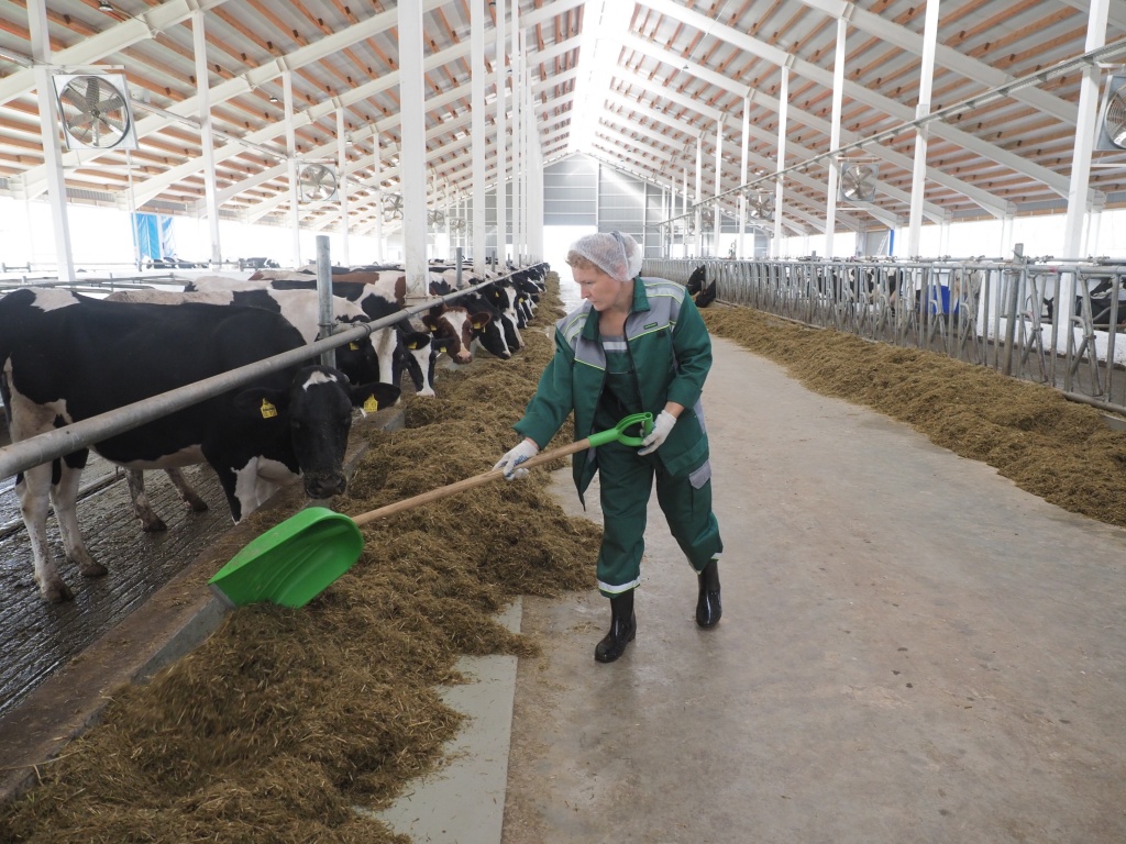 ООО Зелёные линии.JPG