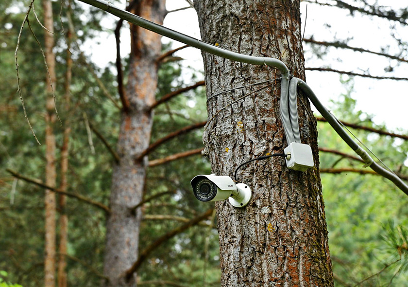 DSC_3967_новый размер.JPG