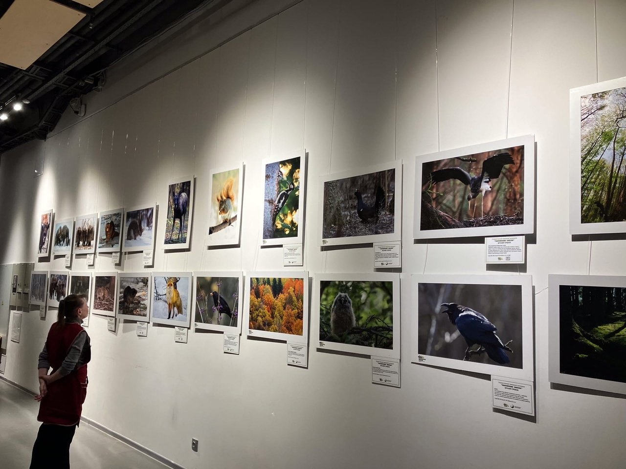 Выставка в Инновационном культурном центре.jpg