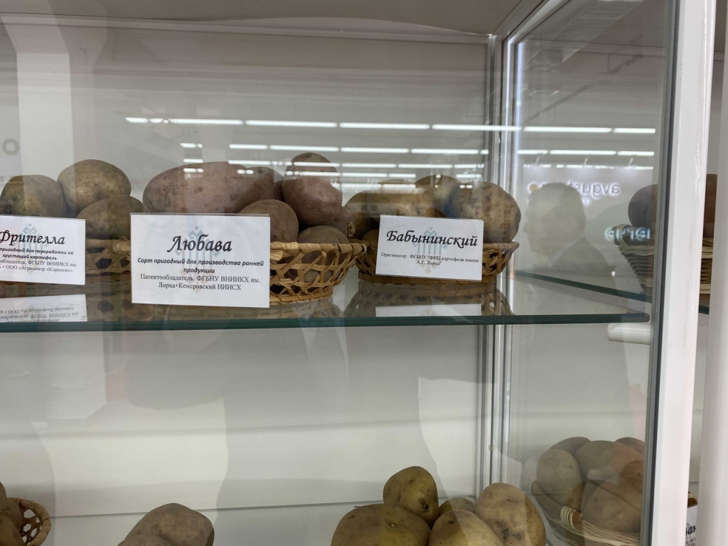 Калужский картофель на стенде ФИЦ в Чебоксарах.jpg