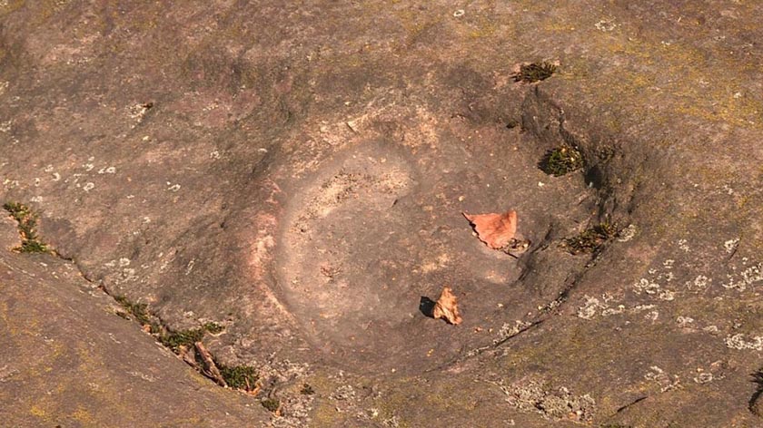 l_mamontenok0721.jpg l_mamontenok0721.jpg