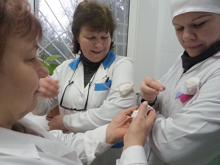 79953271_3269471189792658_8457995932561047552_o.jpg 79953271_3269471189792658_8457995932561047552_o.jpg