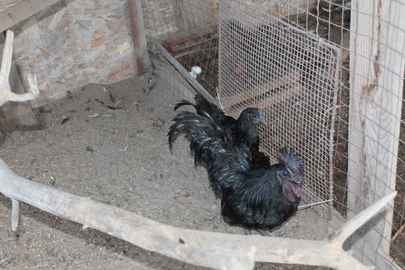 Подворье Саноян 4.jpg