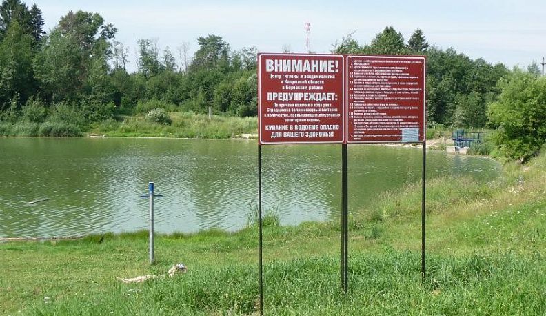 Леса и реки под угрозой