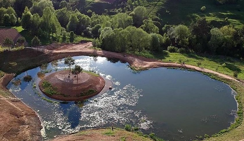 Разбитое сердце