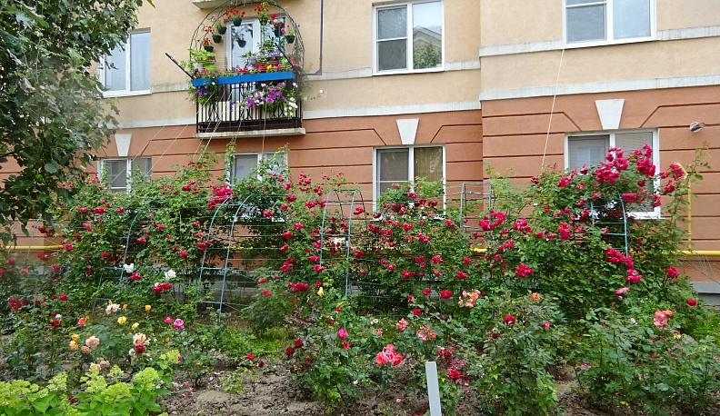 Всё, что делается, - к лучшему!