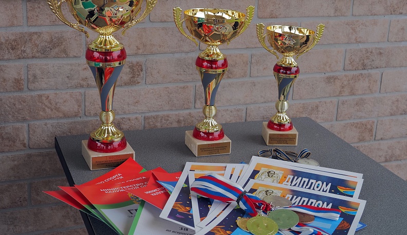 Воздушные бои прошли в небе над Сивково