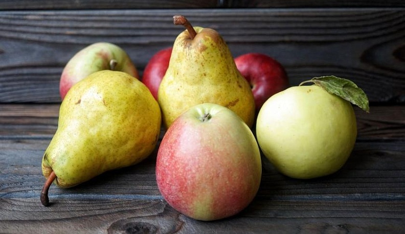 Коробейник