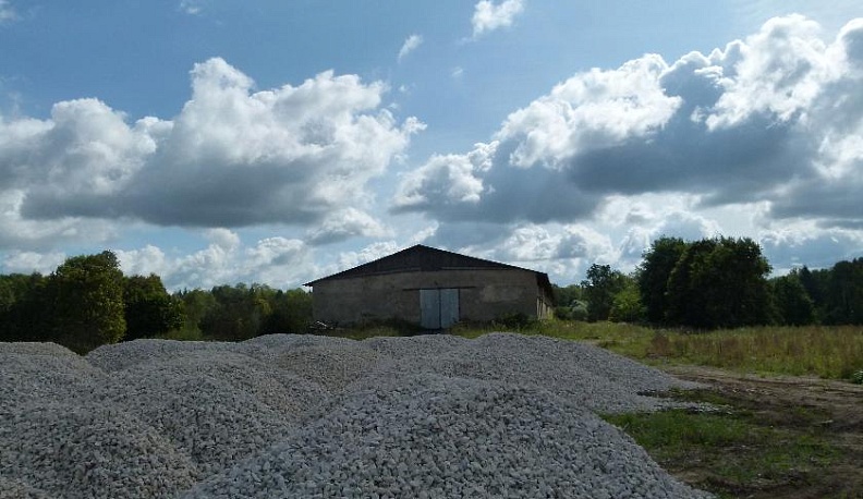 Круговорот леса в природе