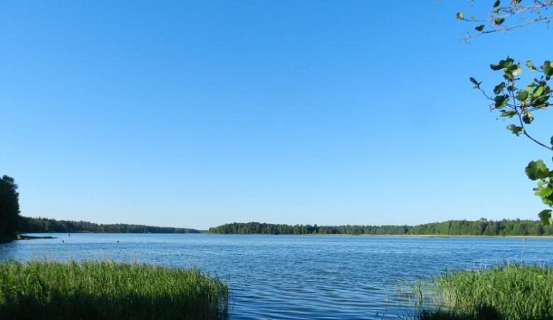 В Людиновском водохранилище снижен уровень уровень цветения воды