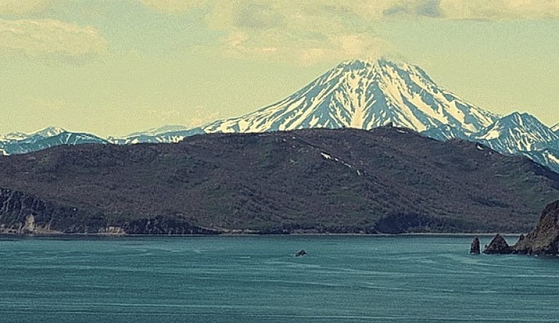 Цифровые решения для экомониторинга 