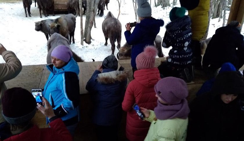 Школьники из Калужской области съездили в гости к зубрам