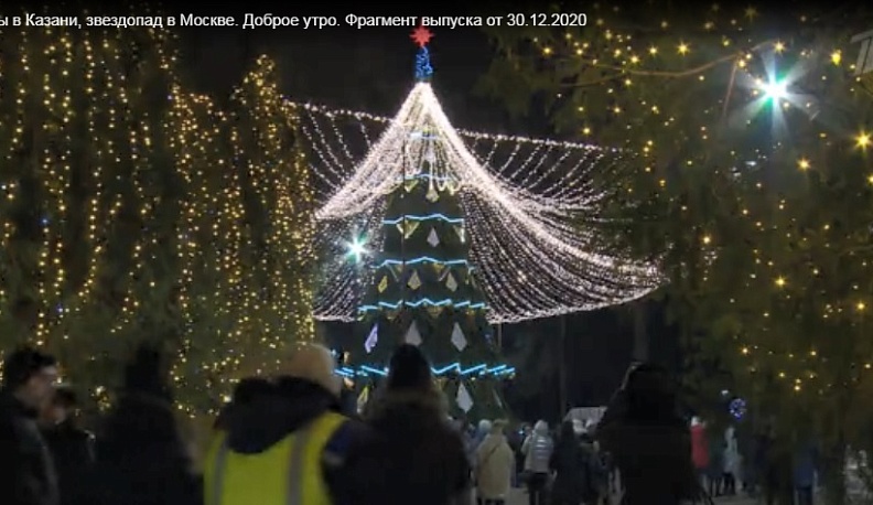В сюжете Первого канала снялась калужская ёлка