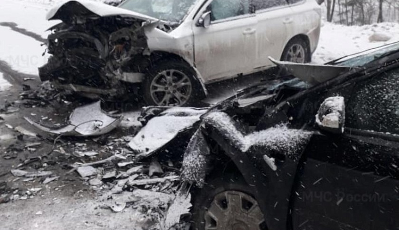 Трое взрослых и ребенок пострадали в ДТП в Калужской области