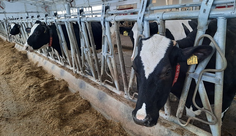 В Тарусском районе продолжился третий «Агропромышленный форум Калужской области 2021» 