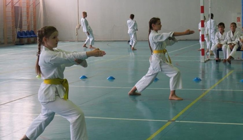 Панда По – кумир юных каратистов