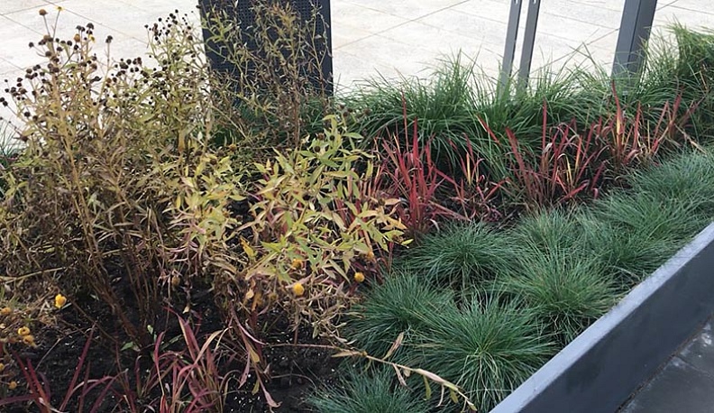 В Обнинске завершилось благоустройство общественной территории на улице Курчатова, 13