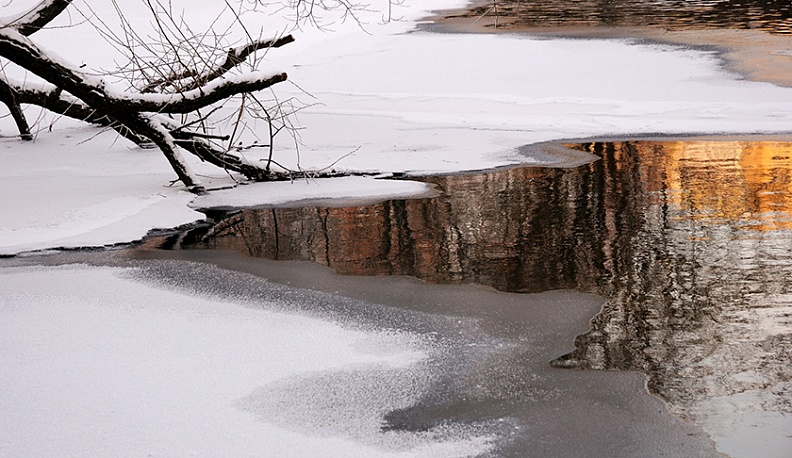 В Калуге сохранится дождливая и теплая погода
