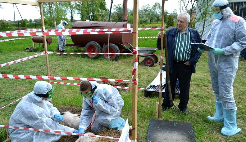 Ветеринары всегда на страже