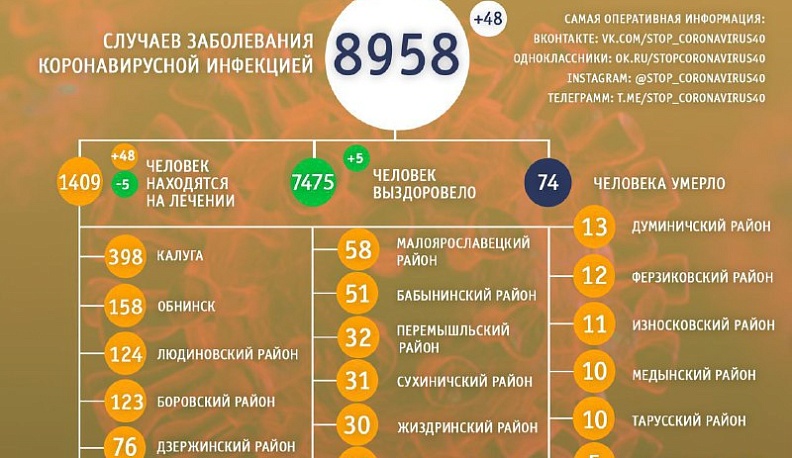 В Калужской области заболело еще 48 человек