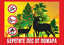 Более 240 млн рублей выделено на защиту Калужских лесов от пожаров в 2026 году Более 240 млн рублей выделено на защиту Калужских лесов от пожаров в 2026 году