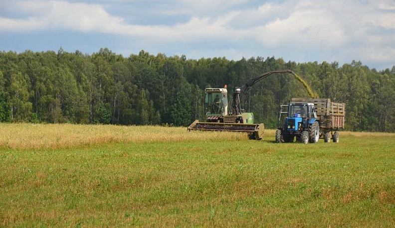 Когда день год кормит