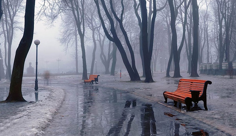 Сегодня в Калуге будет солнечно и тепло