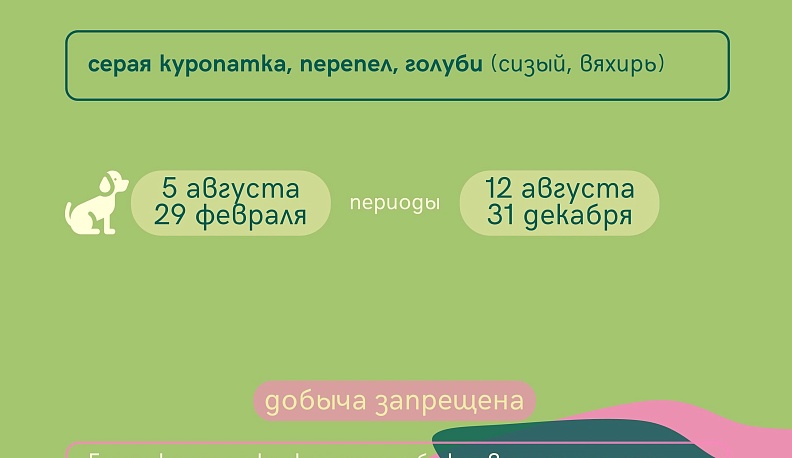 Сроки охоты объявлены в Калужской области