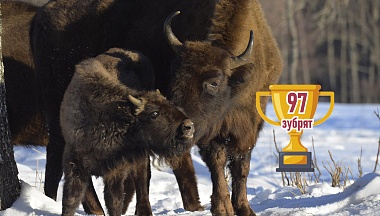 Цифры, которые нас удивили