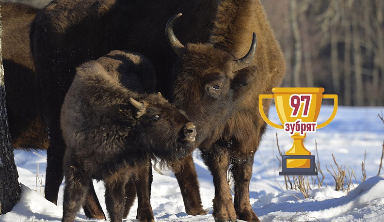 Цифры, которые нас удивили