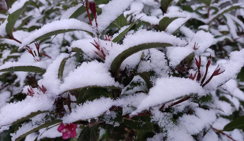 Первая декада февраля в Калуге выдалась значительно холоднее климатической нормы